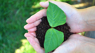 社會(huì)責(zé)任