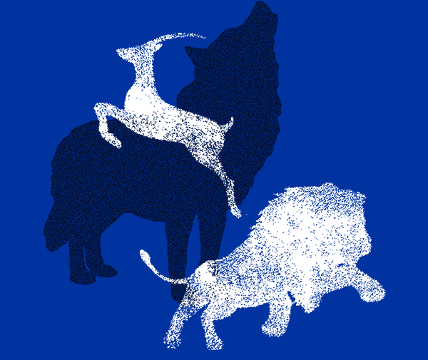 獅子、羚羊和狼